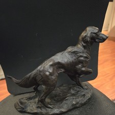 English Irish  Red Setter