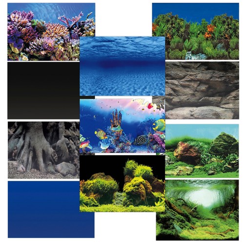 Superfish deco poster - superfish, aquarium