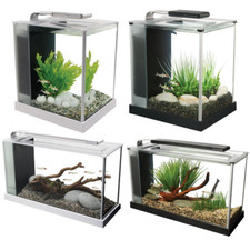 Fluval Spec Aquarium Gloss