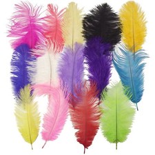 5x 9 Inch Ostrich Feathers! Craft Large Super Fluffy!