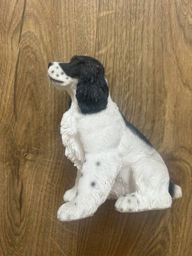 Dog black white cocker - black,