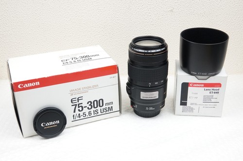 Canon 300mm 5 6 - canon, 75-300mm