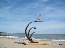 driftwood Surfer