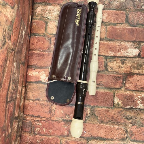 Pair recorders aulos - of, tenor