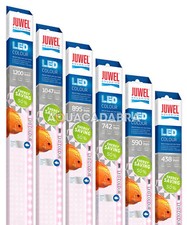 Juwel LED Colour Bulbs for
