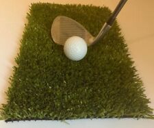 Golf Winter Rules Fairway Mat; Tough 20mm Artificial Grass Tee; Spring Clip