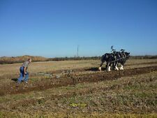 Photo 12x8 Horse-drawn plough Compton Ploughing the old-fashioned way at t c2011