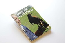 Hunting with Harris Hawks -