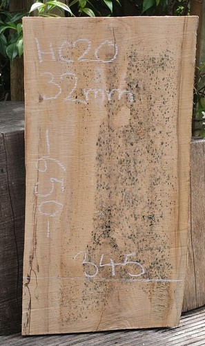 Spalted chestnut live edge - spalted,