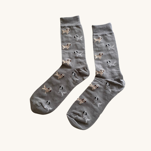 English setter dog print socks - dog,