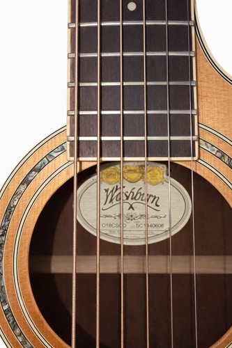 Washburn wcg18ce - washburn,