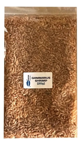 Gammarus shrimp dried - gammarus,