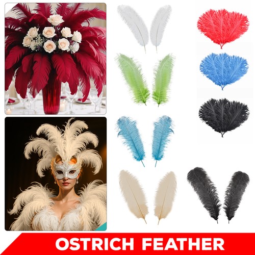 Solid colour ostrich feathers - solid,