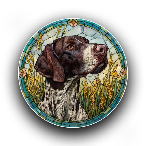 German shorthaired pointer - german,