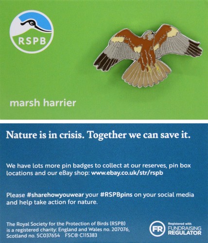 Rspb pin badge - rspb,