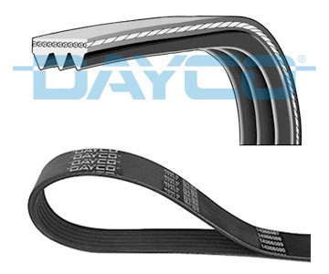 Ribbed belt dayco - v-ribbed,