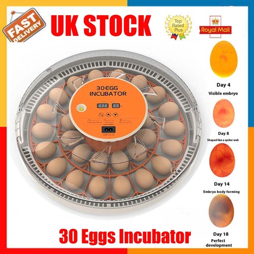 Egg incubator hatching machine - hatching,