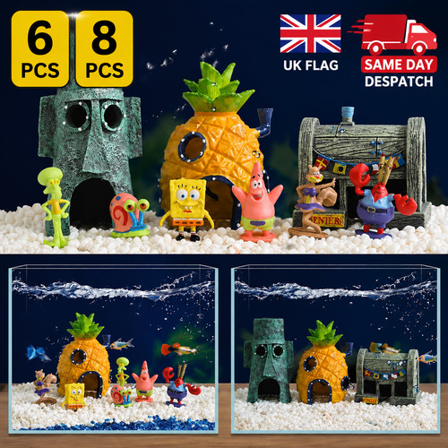 Set sponge bob square - sponge,
