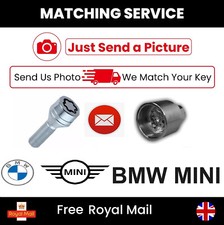 BMW MINI Master Security