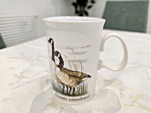 Dunoon scotland canada goose - dunoon,