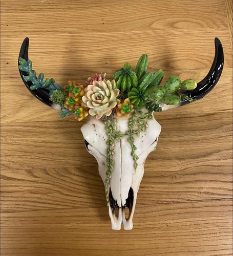 Cactus plants ram - plants, bull