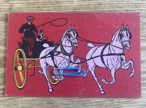 Pony trap horse - pony, carriage