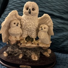 Juliana Collection Snowy Owls