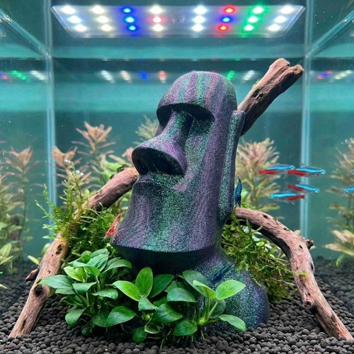 Moai easter island fish cave - island,