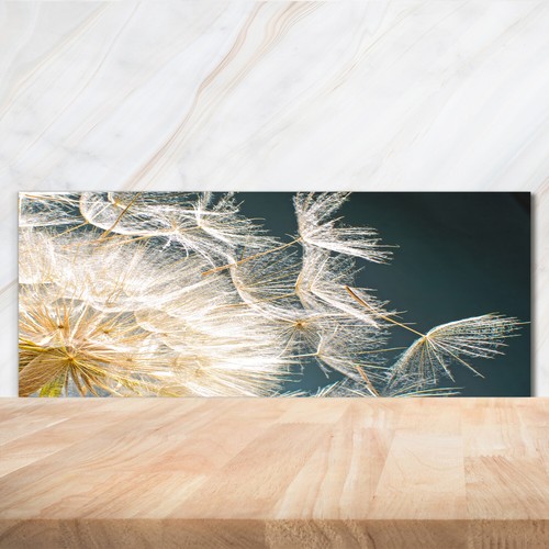 Kitchen glass splashback - kitchen,