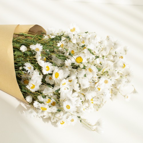 Dried flower bunch natural - dried,