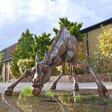 Stunning Drinking Giraffe Iron