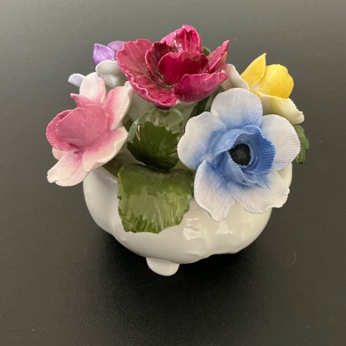 Aynsley flower the month - aynsley,