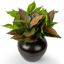 4Pcs 17.7inch Artificial