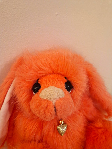 Kaycee bears limited - ,