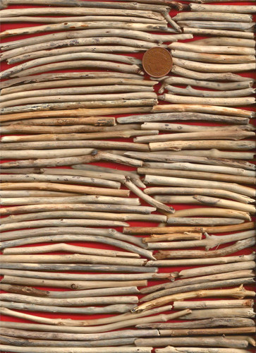 North sea driftwood - uk,