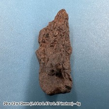 H5 common chondrite high iron