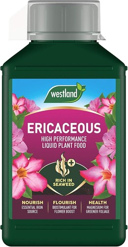 Westland ericaceous high - westland,