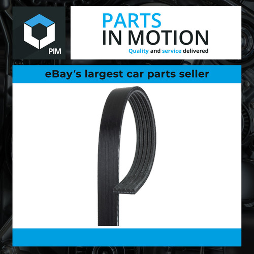 Rib multi drive belt fits - rib,