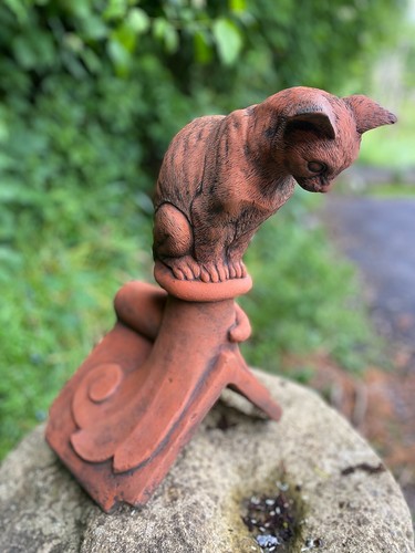 Curious cat roof finial - finial, 90°