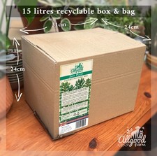 Jade Plant Premium Potting