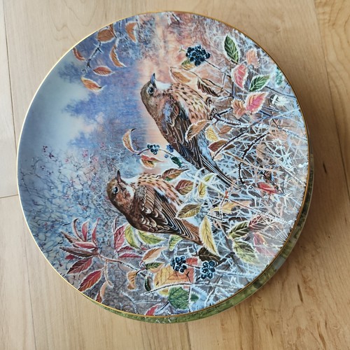 Coalport collector plate - plate,