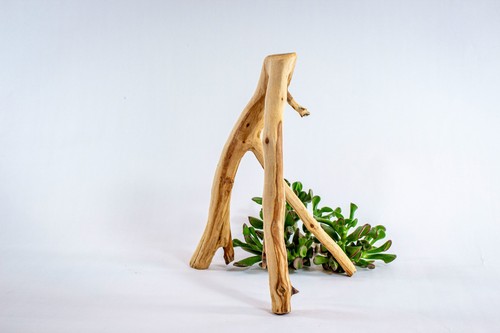 Manzanita aquarium driftwood - manzanita,
