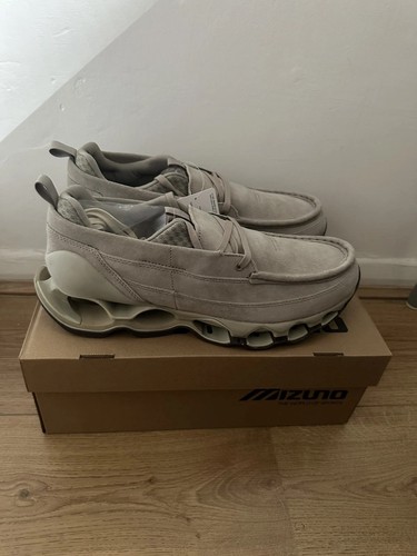 Mizuno wave prophecy - mizuno,