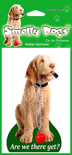 Italian spinone dog lovers - dog,