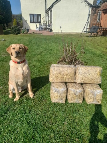 Compressed straw easy - compressed, straw,