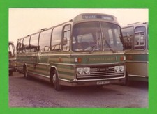 Photo - Ponderosa Coaches of