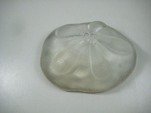 Phoenix glass studio - studio, sea