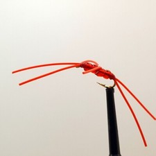 3 x RED BEAD APPS BLOODWORM