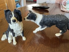 Pair Of Border Collie Dog