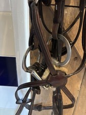 Shires Chantilly Brown/tan